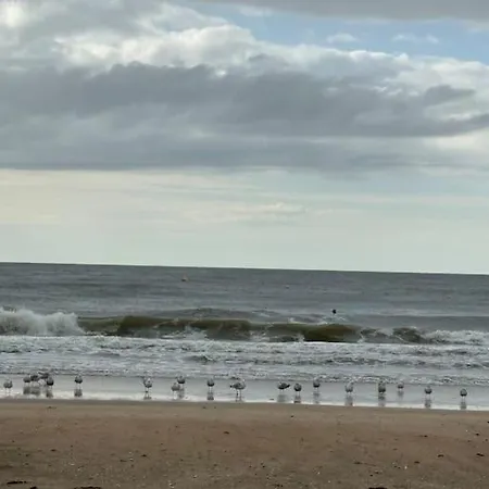 Apartment Cosy - A 2min - Casino A 1min