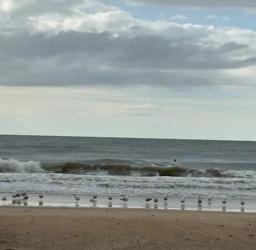 Appartamento Cosy - à 2min - Casino à 1min